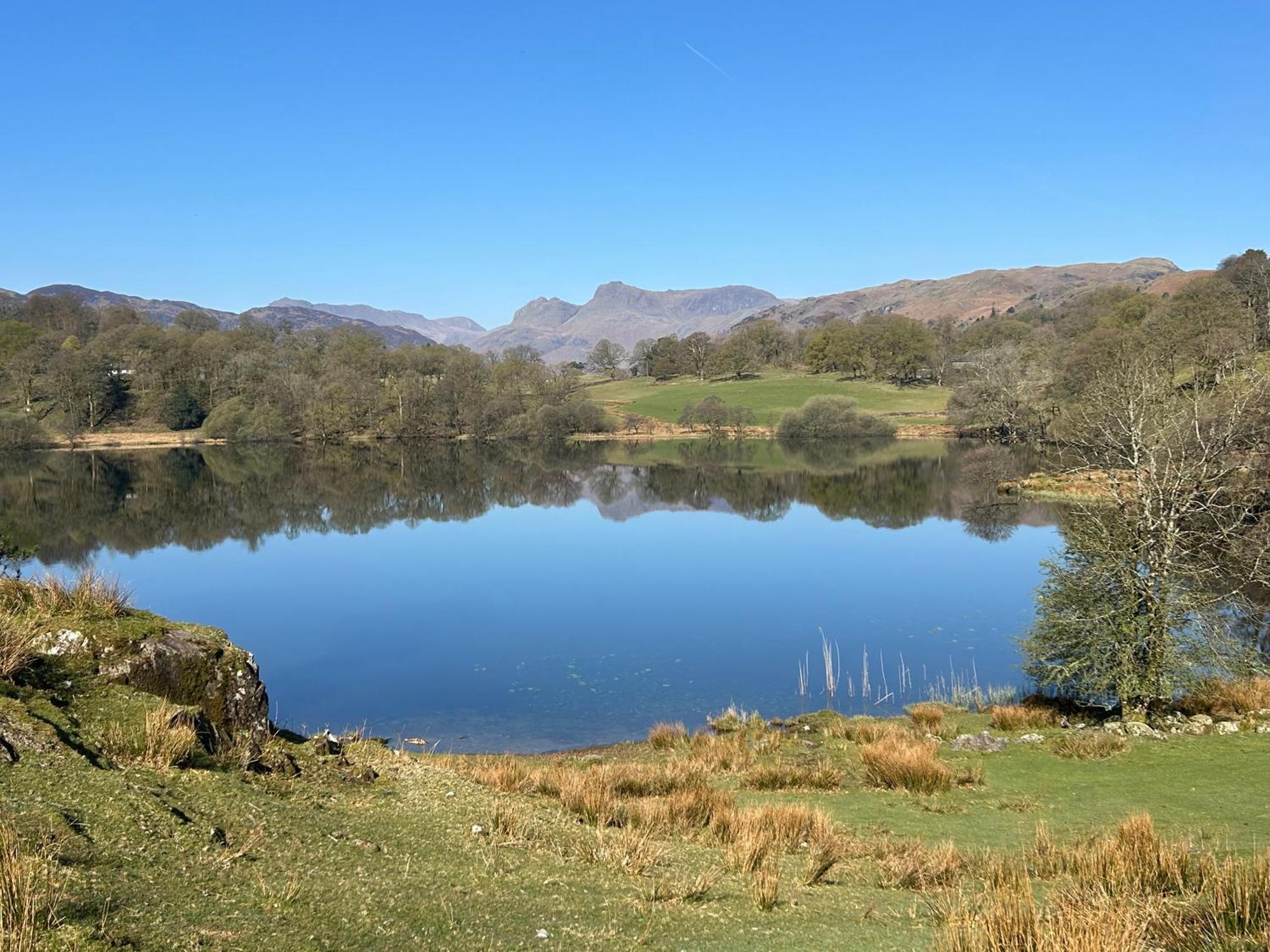 Puddleduck Villa Ambleside Eksteriør billede