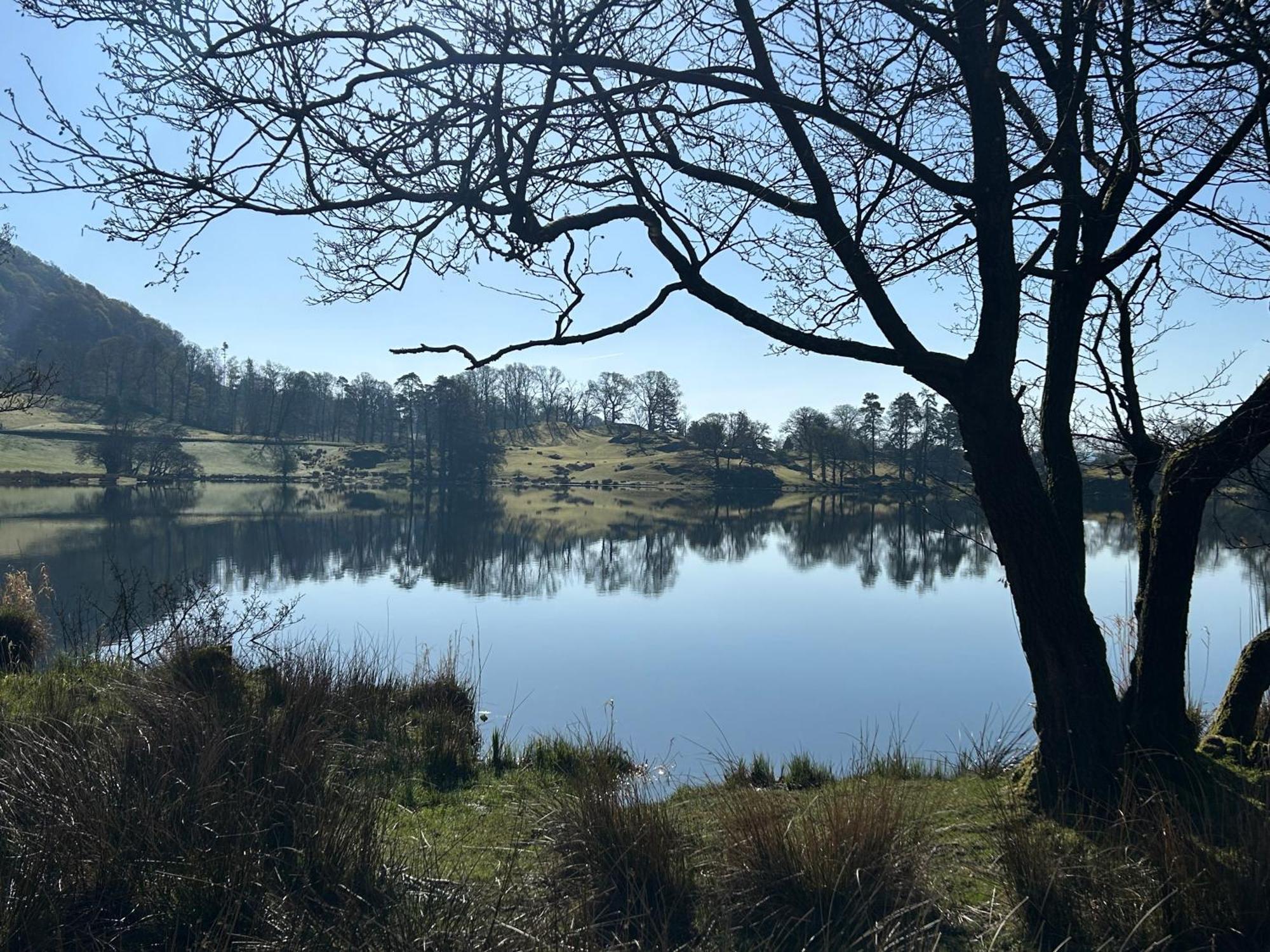 Puddleduck Villa Ambleside Eksteriør billede